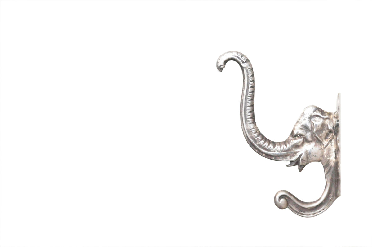 Silver Hooks